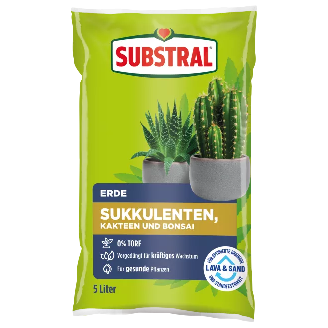 Substral® Erde Sukkulenten, Kakteen und Bonsai 5 L main image