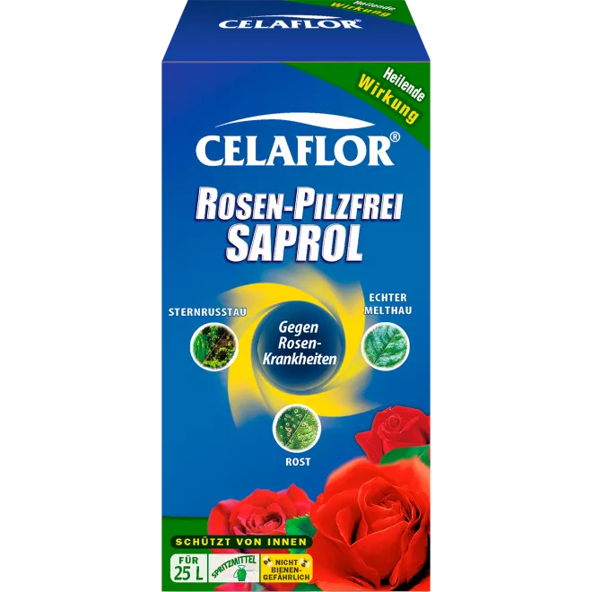 Celaflor® Rosen-Pilzfrei Saprol Konzentrat main image