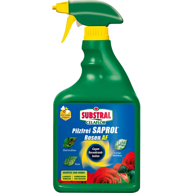 SUBSTRAL® Celaflor® Pilzfrei Saprol Rosen AF main image