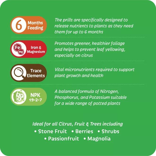 Scotts Osmocote® Controlled Release Fertiliser: Citrus & Fruit image 4