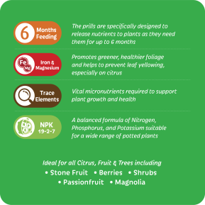 Scotts Osmocote® Controlled Release Fertiliser: Citrus & Fruit image 4