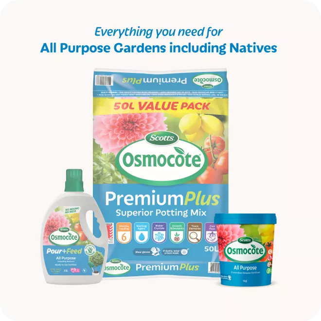 Scotts Osmocote® Controlled Release Fertiliser: All Purpose image 6
