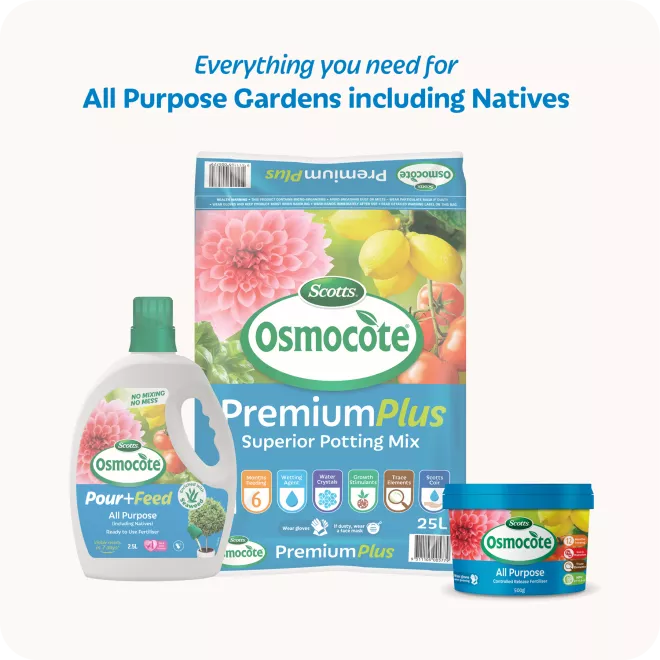 Scotts Osmocote® Controlled Release Fertiliser: All Purpose image 7