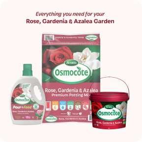 Scotts Osmocote® Controlled Release Fertiliser: Roses, Gardenias, Azaleas & Camellias image 6