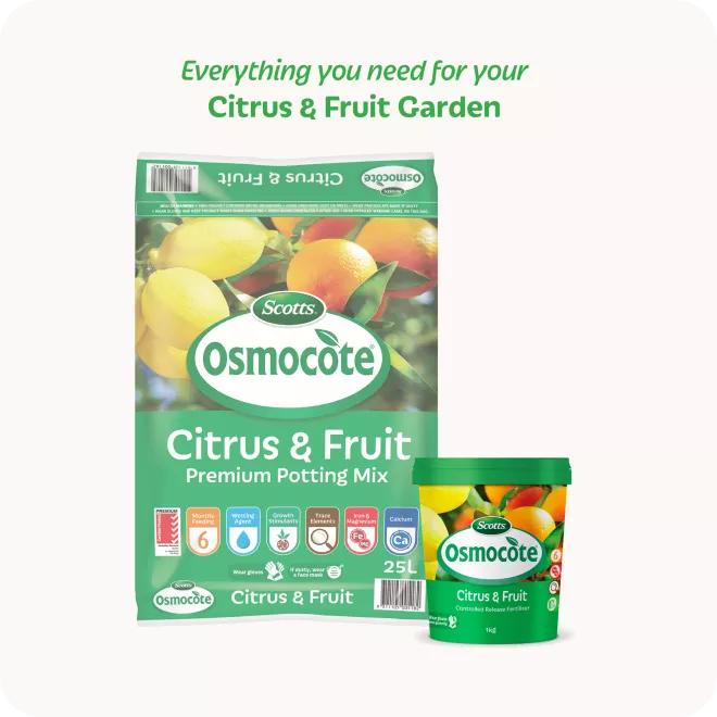 Scotts Osmocote® Controlled Release Fertiliser: Citrus & Fruit image 7