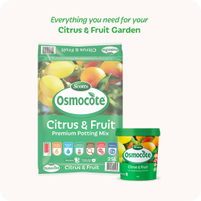 Scotts Osmocote® Controlled Release Fertiliser: Citrus & Fruit image 7