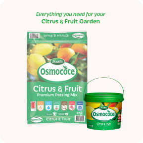 Scotts Osmocote® Controlled Release Fertiliser: Citrus & Fruit image 5
