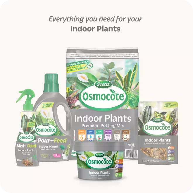 Scotts Osmocote Controlled Release Fertiliser for Indoor Plants image 7