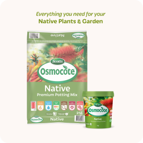 Scotts Osmocote® Controlled Release Fertiliser: Native image 5