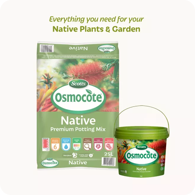 Scotts Osmocote® Controlled Release Fertiliser: Native image 5