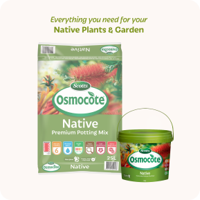 Scotts Osmocote® Controlled Release Fertiliser: Native image 5