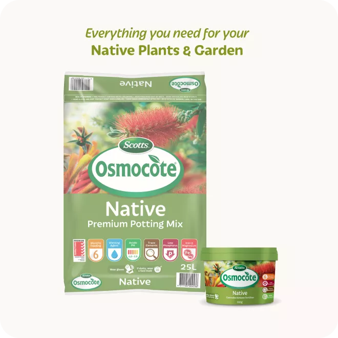Scotts Osmocote® Controlled Release Fertiliser: Native image 7