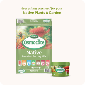 Scotts Osmocote® Controlled Release Fertiliser: Native image 7