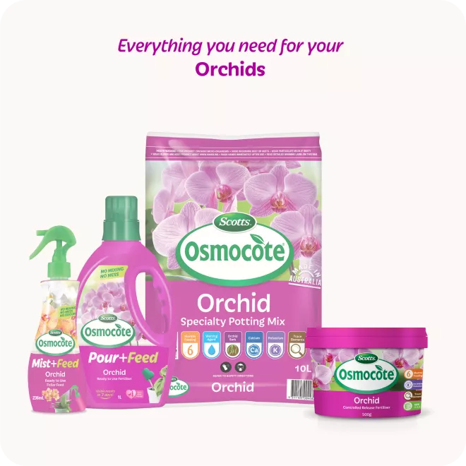 Scotts Osmocote® Controlled Release Fertiliser: Orchid image 5