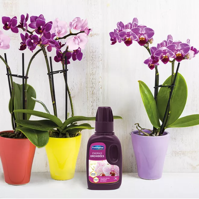 Fertiligène engrais orchidées image 3