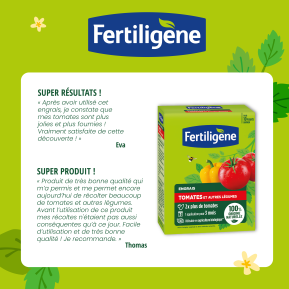Fertiligène engrais tomates et autres légumes image 3