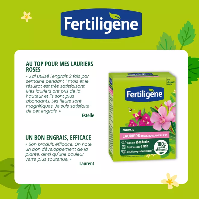 Fertiligène engrais lauriers roses, bougainvilliers granulés image 2