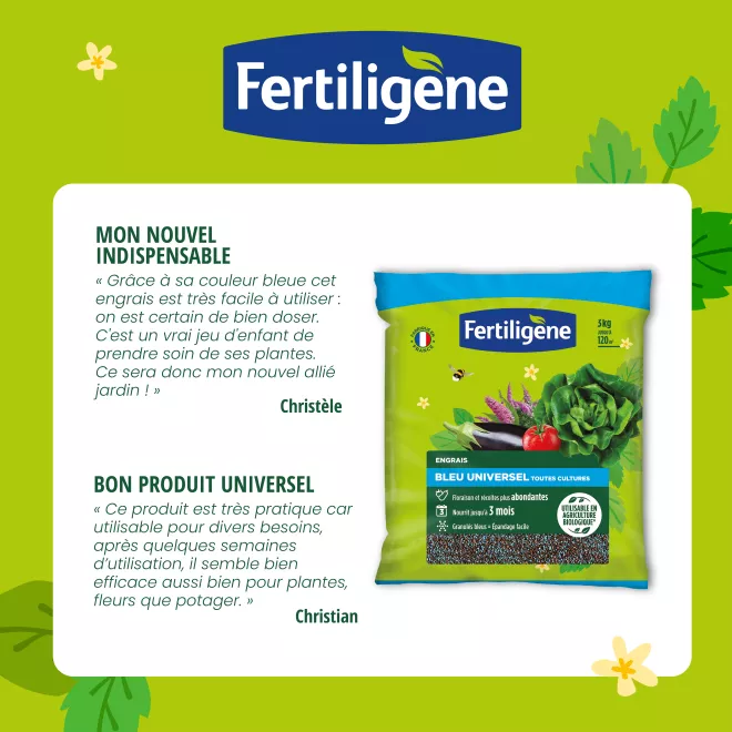 Fertiligène engrais bleu image 2