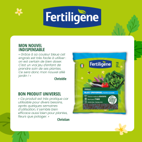 Fertiligène engrais bleu image 2