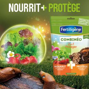 Fertiligène Combinéo™ nourrit et protège potager image 2