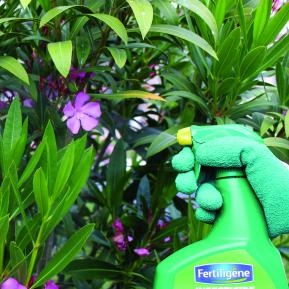 Fertiligène insecticide polyvalent prêt à l'emploi image 2