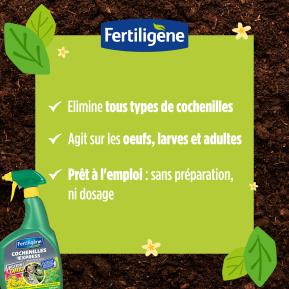 Fertiligène insecticide cochenilles express prêt à l'emploi image 2