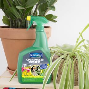 Fertiligène insecticide cochenilles express prêt à l'emploi image 3