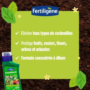 Fertiligène cochenilles image 2