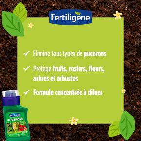 Fertiligène pucerons image 3