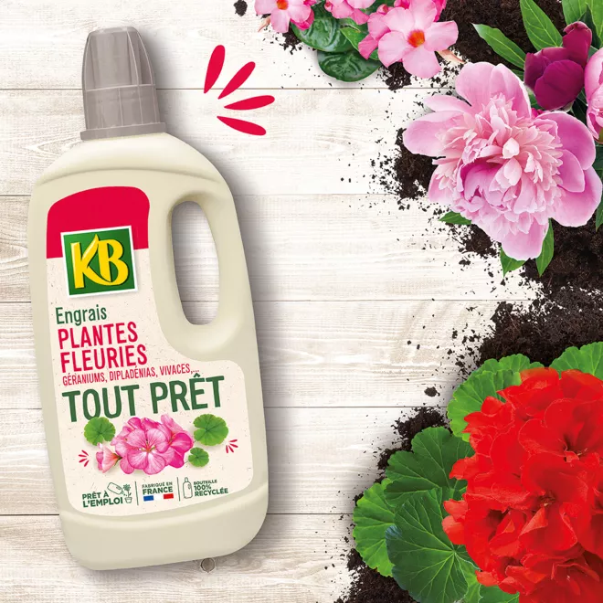 KB engrais tout prêt plantes fleuries, géraniums, dipladénias, vivaces image 2