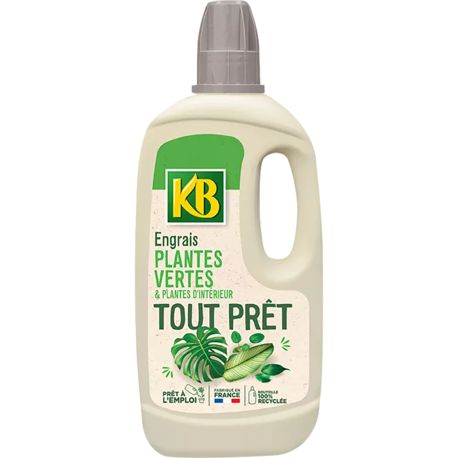 KB engrais tout prêt plantes vertes et plantes d'intérieur main image