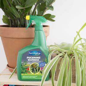 Fertiligène insecticide pucerons express prêt à l'emploi image 2