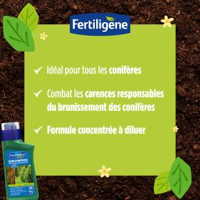Fertiligène soin brunissement des conifères image 3