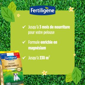 Fertiligène engrais gazon complet image 4