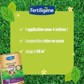 Fertiligène engrais gazon 4 actions image 3