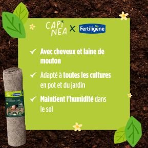 Capinea X Fertiligène Rouleau de paillage sécheresse et gel image 5