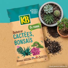 KB Substrat cactées, bonsaïs sans tourbe image 3