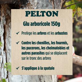 Pelton glu arboricole image 4