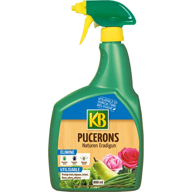KB pucerons prêt à l'emploi main image