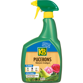KB pucerons prêt à l'emploi main image