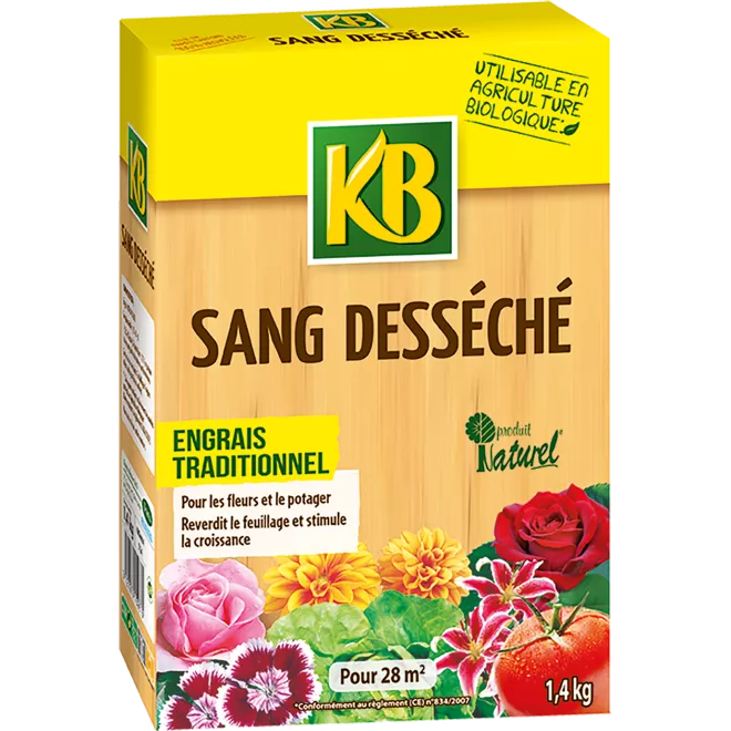 KB sang desséché main image