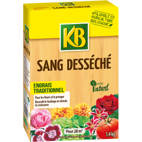 KB sang desséché main image