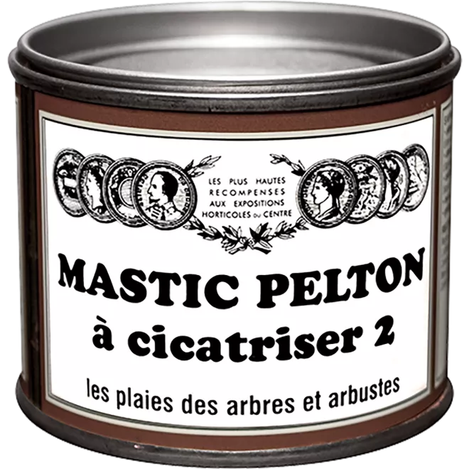 Pelton mastic  à cicatriser main image