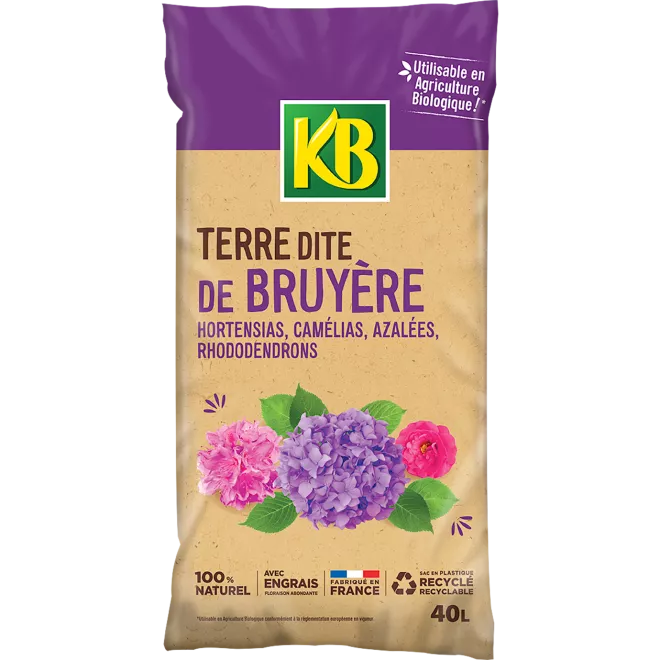 KB terre dite de bruyère main image