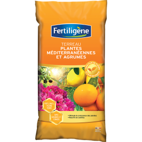 Fertiligène terreau plantes méditerranéennes et agrumes  main image