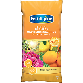 Fertiligène terreau plantes méditerranéennes et agrumes main image