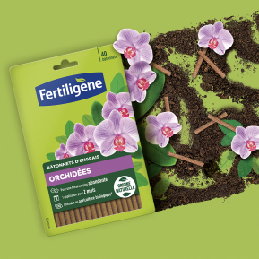 Fertiligène bâtonnets d'engrais orchidées image 2