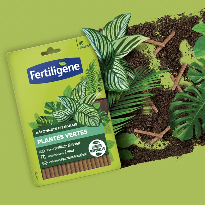 Fertiligène bâtonnets d'engrais plantes vertes image 2