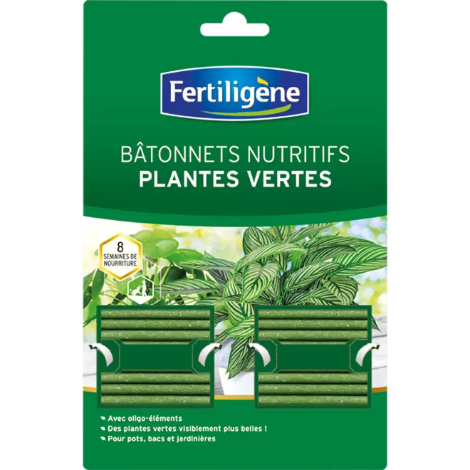 Fertiligène bâtonnets nutritifs plantes vertes main image