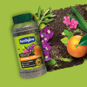 Fertiligène engrais longue durée  premium agrumes et plantes méditerranéennes image 2